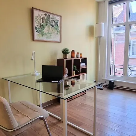 Anemone Appartement Lille